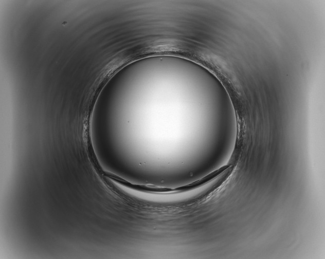 X0000094201225200710261145