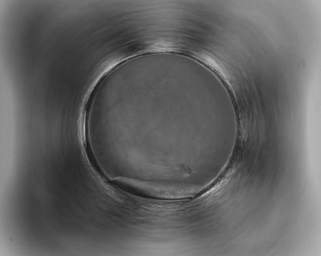 X0000094201227200710261145