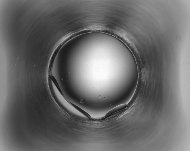 X0000094201229200710261145