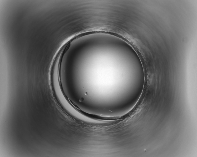 X0000094201230200710261145