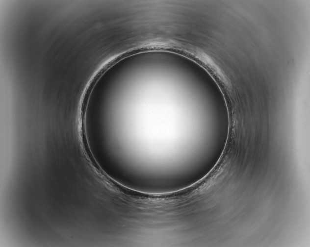X0000094201232200710261145