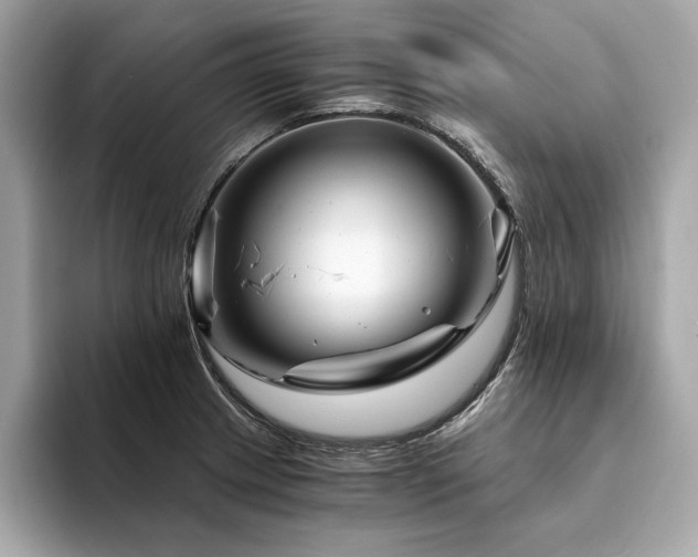 X0000094201233200710261145