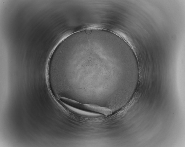 X0000094201235200710261145