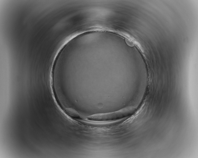 X0000094201239200710261145