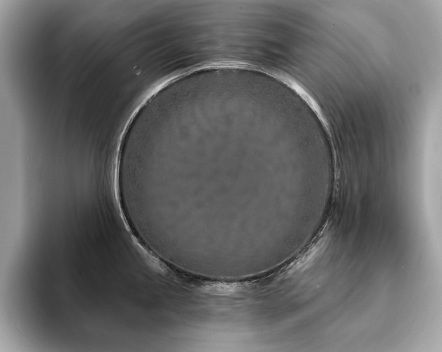 X0000094201245200710261145