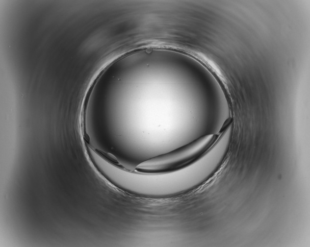 X0000094201247200710261145