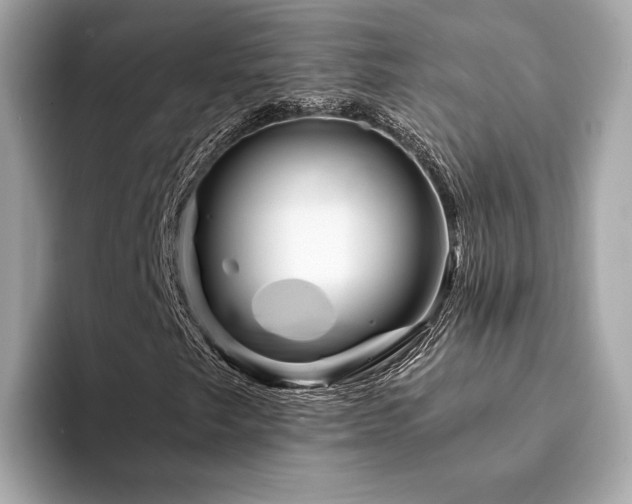 X0000094201249200710261145