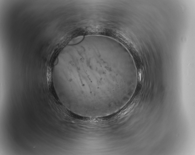 X0000094201251200710261145