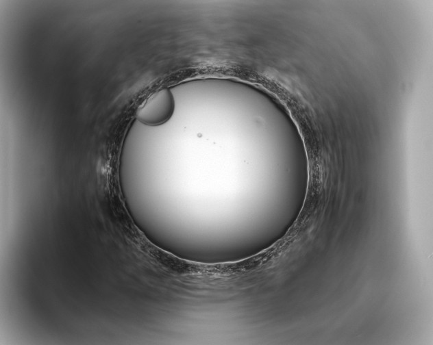 X0000094201254200710261145