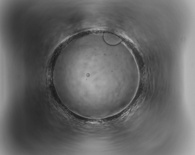 X0000094201255200710261145