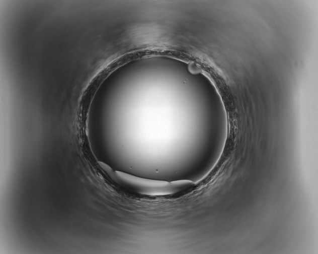 X0000094201256200710261145