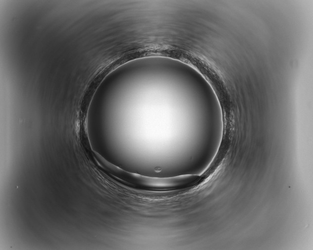 X0000094201257200710261145