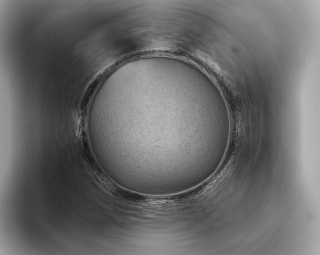 X0000094201258200710261145
