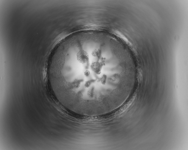 X0000094201259200710261145