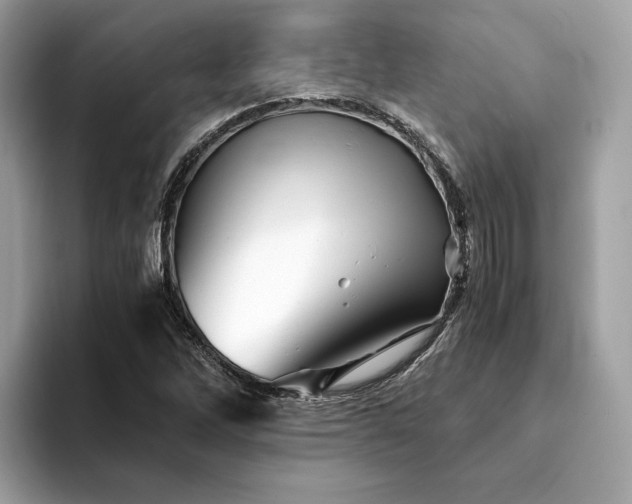 X0000094201262200710261145