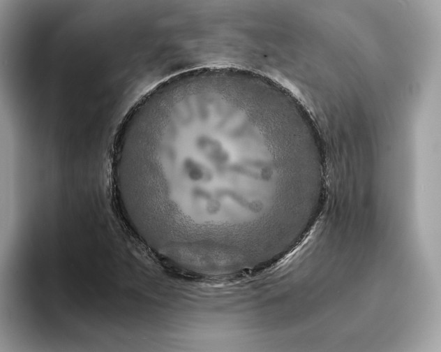 X0000094201263200710261145