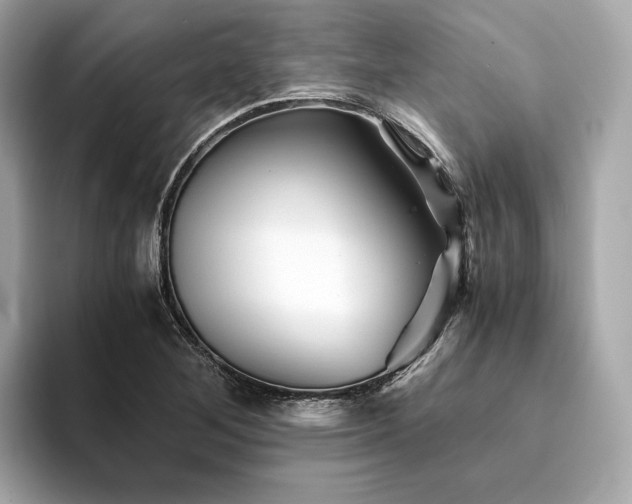 X0000094201268200710261145