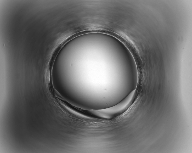 X0000094201269200710261144