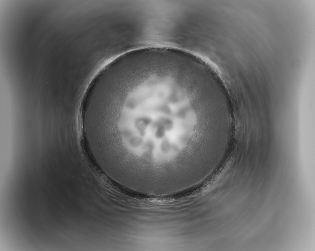 X0000094201271200710261144