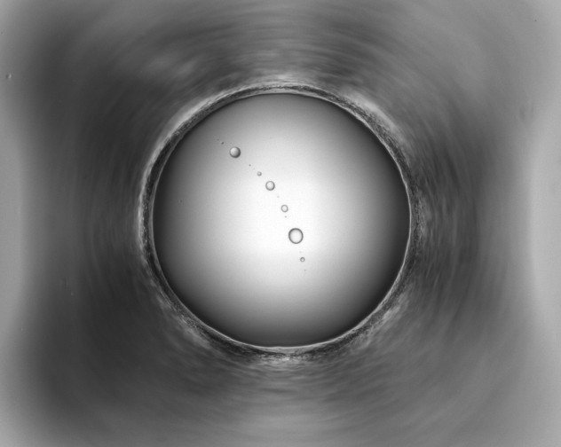 X0000094201278200710261144