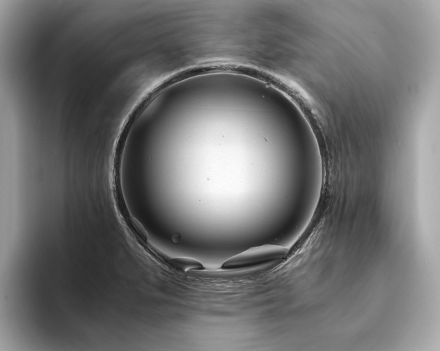 X0000094201279200710261144