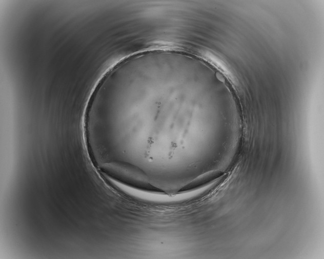 X0000094201283200710261144
