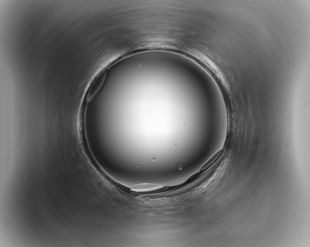 X0000094201285200710261144