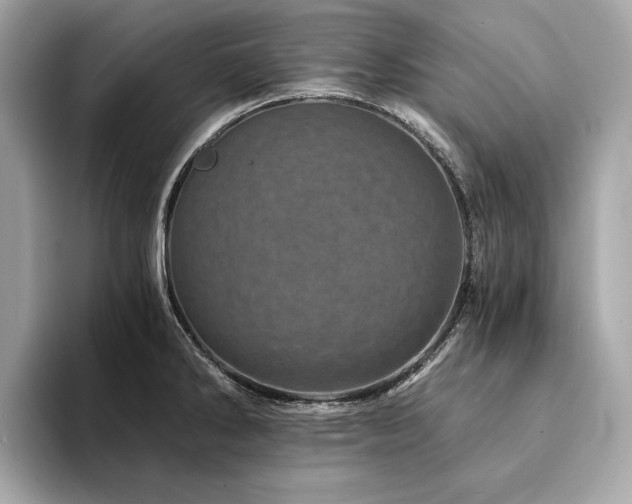 X0000094201286200710261144