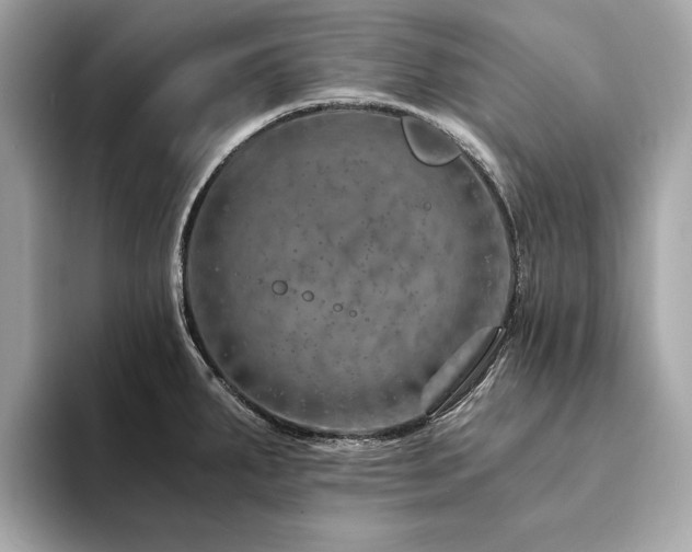X0000094201287200710261144