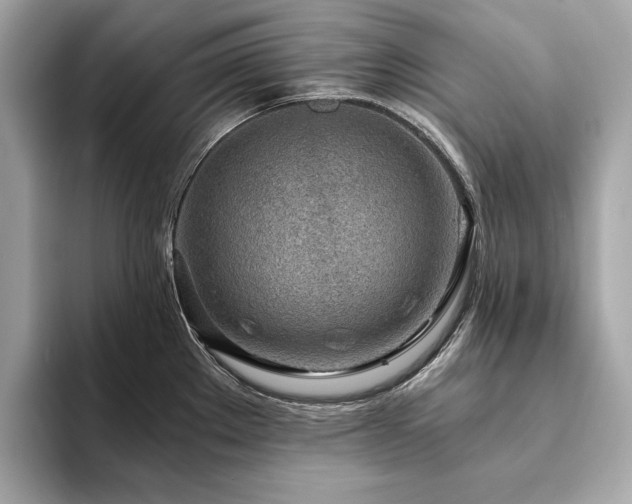 X0000094201289200710261144