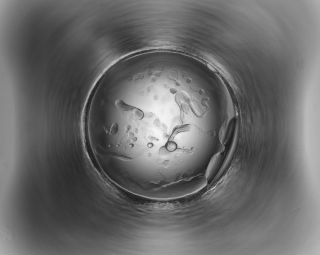 X0000094201291200710261144