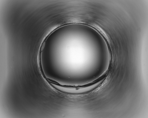 X0000094201293200710261144