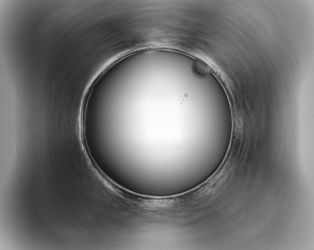 X0000094201294200710261144