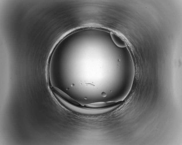 X0000094201295200710261144