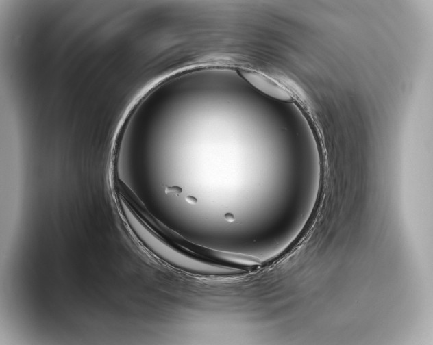 X0000094201296200710261144