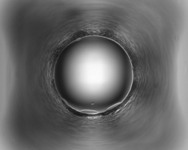 X0000094201297200710261143