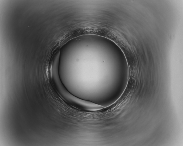 X0000094201298200710261144