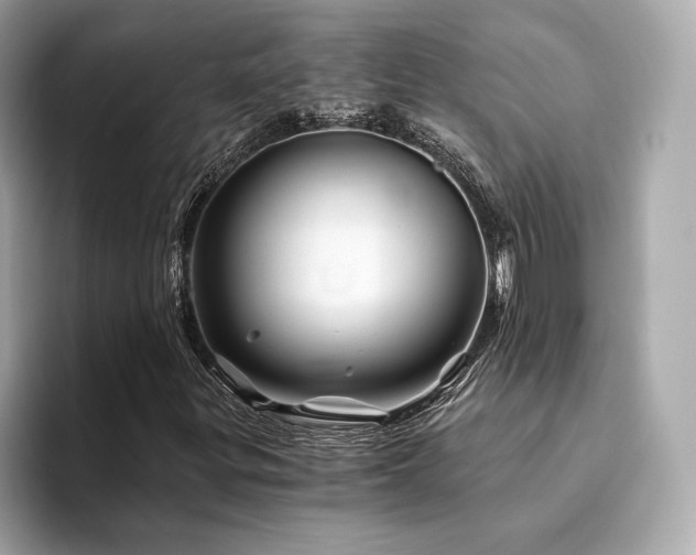 X0000094201299200710261144