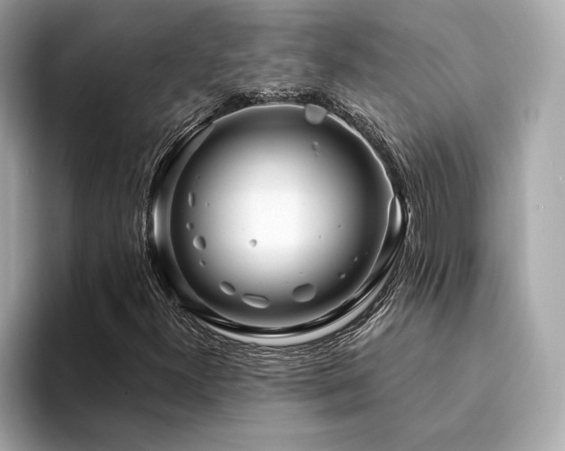 X0000094201300200710261144