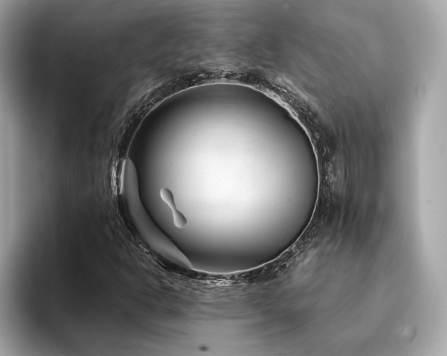 X0000094201302200710261144