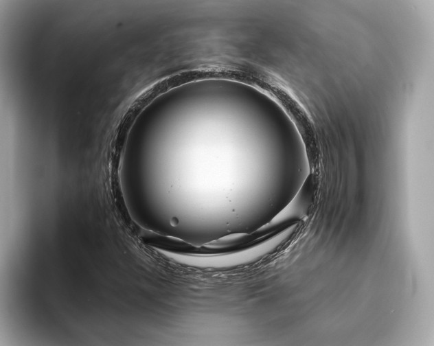 X0000094201304200710261144