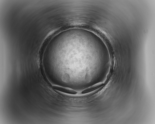 X0000094201306200710261144