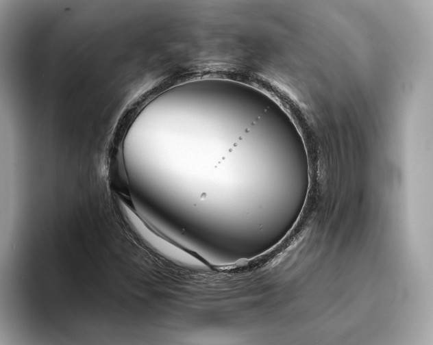 X0000094201309200710261144
