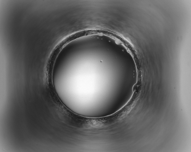 X0000094201311200710261144