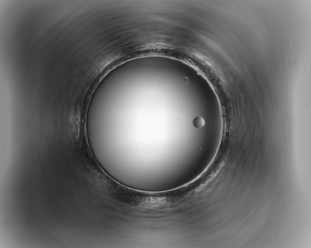 X0000094201313200710261144