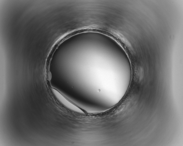 X0000094201316200710261144