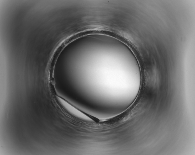 X0000094201318200710261144