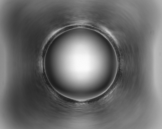 X0000094201320200710261144