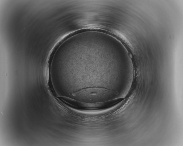 X0000094201323200710261144