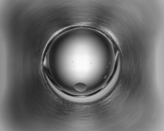 X0000094201324200710261144